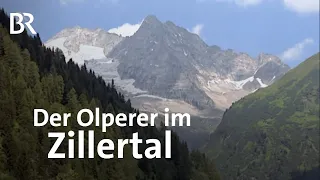 Der Olperer im Zillertal | Bergauf-Bergab |  Doku | Berge