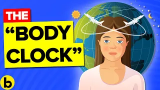 How Your Body's Internal Clock Affects Your Health