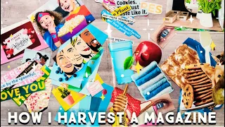 Magazine Harvest • Glue Book Images • #gluebook #paper #collage #magazineharvest #magazinecollage