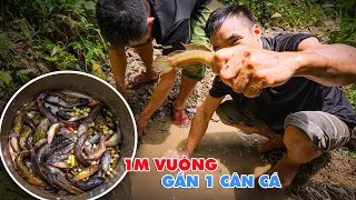 Tát Vũng Suối Cạn Khoảng 1 Mét Vuông Bắt Gần 1 Cân Cá - Tho Rung