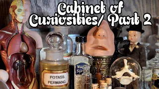 Sharing More of my Curious Collection #oddities #curiosities #dark