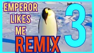Emperor Likes Me REMIX 3 (let's see how many views it gets with no advertising like the other ones)