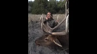 New Mexico Monster Bull Elk.  Youth Muzzleloader Hunt 2020.  Big Bull Elk Down!