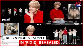 Watch if BTS's V successfully impersonates being a cat owner on 'Pixid'