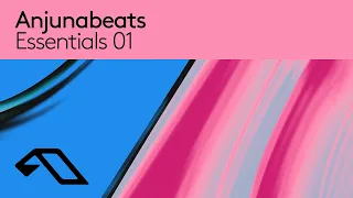 Anjunabeats Essentials DJ Mix (Mat Zo, Signalrunners, Genix) March 2024