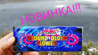 ТЕСТ ПЕТАРДИ GROUND BLOOM FLOWER РОЗОЧКИ ВІД МАКСЕМ