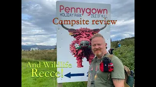 Pennygown Campsite on Mull in a Motorhome, wildlife photography