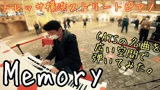 【猫の日】CATSの名曲を弾いてみた。「Memory」【ストリートピアノ】