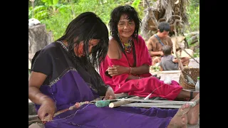 Asháninka Water Project - 2023 crowdfund for Indigenous communities in the Amazon