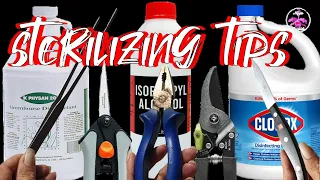 How to Sterilize Pruning Tools & Pots for Orchids as well as Houseplants #ninjaorchids