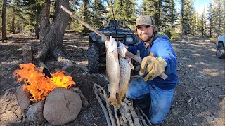 Catch, Cook and Camp in Utah's High Elevation Wilderness! (Wild Cutthroat and Brown Trout)