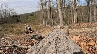 Stump Jump CRASH!!!