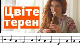 ЦВІТЕ ТЕРЕН ноти | Сопілка