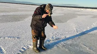 Чудское озеро. Уроки мастерства. 28.12.22 (Ненормативная лексика))))