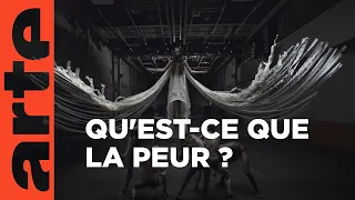 Pourquoi avons-nous peur ? | Twist | ARTE