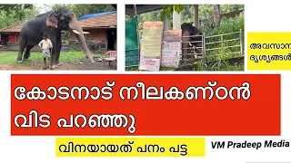 കോടനാട് നീലകണ്ഠൻ ചെരിഞ്ഞു അവസാന ദൃശ്യങ്ങൾ വില്ലനായത് പനംപട്ട#elephantvideo @VMPRADEEP