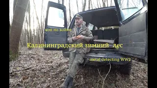 Калининградский зимний лес. Коп по войне. Metal detecting WW2.