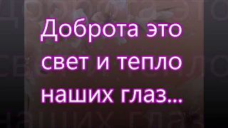 Доброта это свет и тепло наших глаз/// Доброта