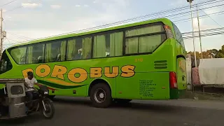 BUS SPOTTING (NEW NORMAL): ROROBUS TRANSPORT 310