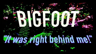 #41 BIGFOOT ENCOUNTERS from the North West