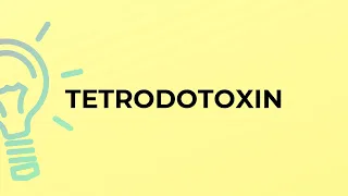 What is the meaning of the word TETRODOTOXIN?
