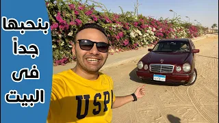 Mercedes E240 Model 1999 - 😂😂😍 سرقتها من ابويا عشان اصورها