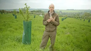 Niels Corfield introduces Agroforestry Design Masterclass