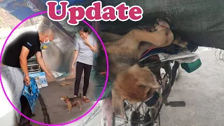 APRC update : Kind sister adopts the poor dog