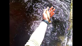 We Fished This River AFTER a THUNDERing Rainstorm!