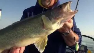 Bottom Bouncing for Walleye