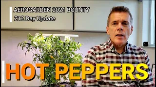 2021 AEROGARDEN BOUNTY HOT PEPPERS FOR BEGINNERS