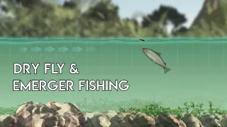 Dry Flies & Emergers - How to Use