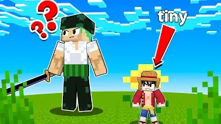 Hide and Seek with Mini Devil Fruit in One Piece Minecraft