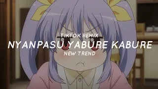 Nyanpasu Yabure Kabure (Lyrics) (Tiktok Song)