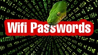 Get WiFi Passwords With Python  |  python project for beginners