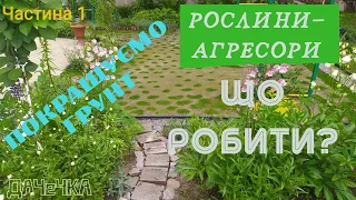 Рослини-агресори в саду. Що з ними робити.Частина 1. 31/05/2021