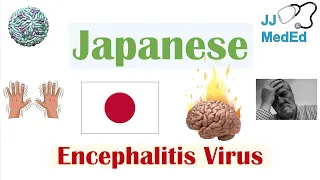 Japanese Encephalitis Virus (JEV) | Transmission, Pathogenesis, Symptoms, Diagnosis, Treatment