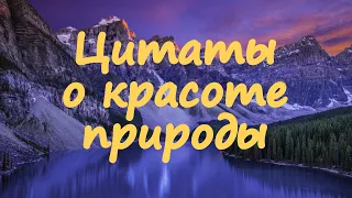 Цитаты про красоту природы