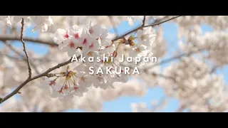 動画で見る明石【GH6】～桜2022～/Video of Akashi ~ Japan Hyogo Akashi SAKURA ~