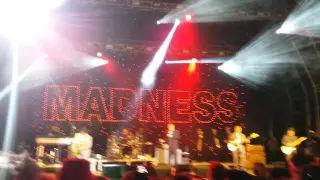 Madness - My Girl Live Y Not Festival 2016
