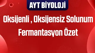 46) Oksijenli Solunum , Oksijensiz Solunum , Fermantasyon Özet