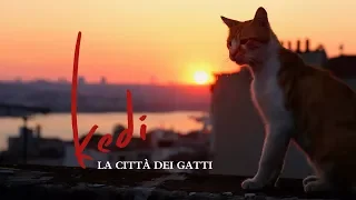 Kedi - La città dei gatti - Trailer Italiano Ufficiale | HD