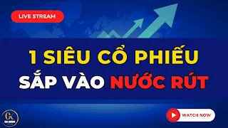 🔴 LIVE STREAM (SỐ ĐẶC BIỆT): 1 SIÊU CỔ PHIẾU BỊ LÃNG QUÊN SẮP VÀO NƯỚC RÚT TRONG NGÀY MAI !!