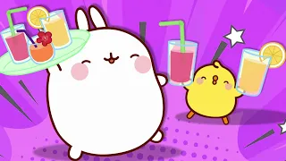 Molang And Piu Piu Visit The Aquarium | Cartoons For Kids | HooplaKidz Shows