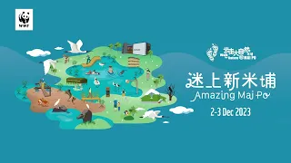 步走大自然2023 - 迷上新米埔   Walk for Nature 2023 - Amazing Mai Po