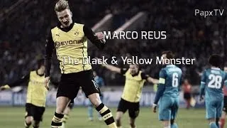 Marco Reus - The Black & Yellow Monster - 1080p - Borussia Dortmund - @woodyinho