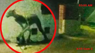 DEMON BEAST CAUGHT ON CAMERA?