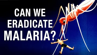 Can We Eradicate Malaria?