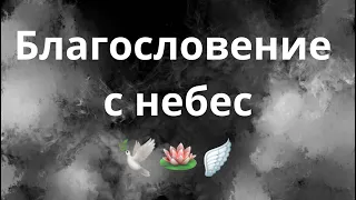 КАКИЕ ДВЕРИ ОТКРЫВАЮТ ВАМ ВЫСШИЕ СИЛЫ⁉️🕊️🔮