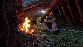 Survival Shelter Build in STORM DAMAGED Forest | Ribeye Steak on HOT COALS